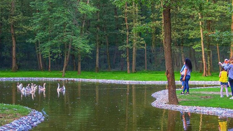 ’Avrupa’nın en büyük doğal yaşam parkı’ film seti oldu