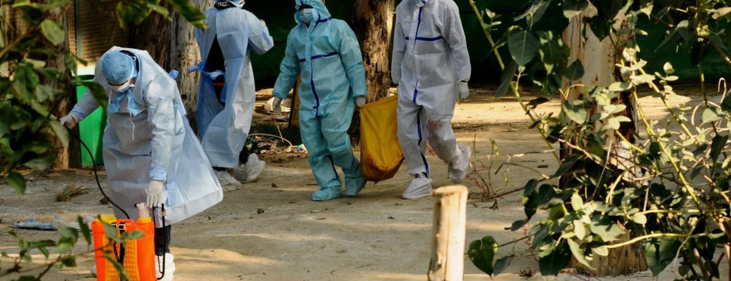Meksika’da ilk kez bir insanda H5N1 türü kuş gribine rastlandı
