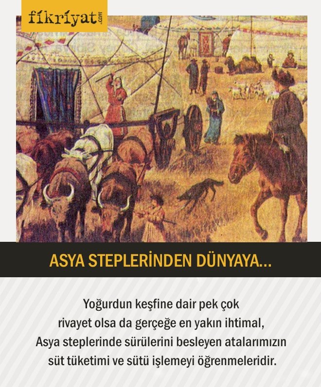ASYA STEPLERİNDEN DÜNYAYA…