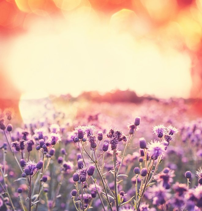 Edebiyatın önemli şairlerinden bahar konulu şiirler