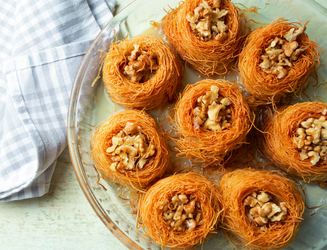 Kadayıflı Bülbül Yuvası