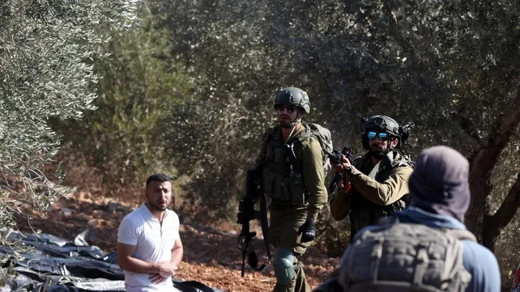 Genocidal Israeli forces intervened against Palestinians trying to harvest olives in the West Bank