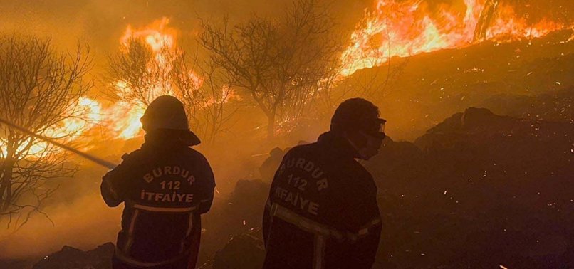 FOREST FIRES IN TÜRKIYE BROUGHT UNDER CONTROL, MINISTER SAYS