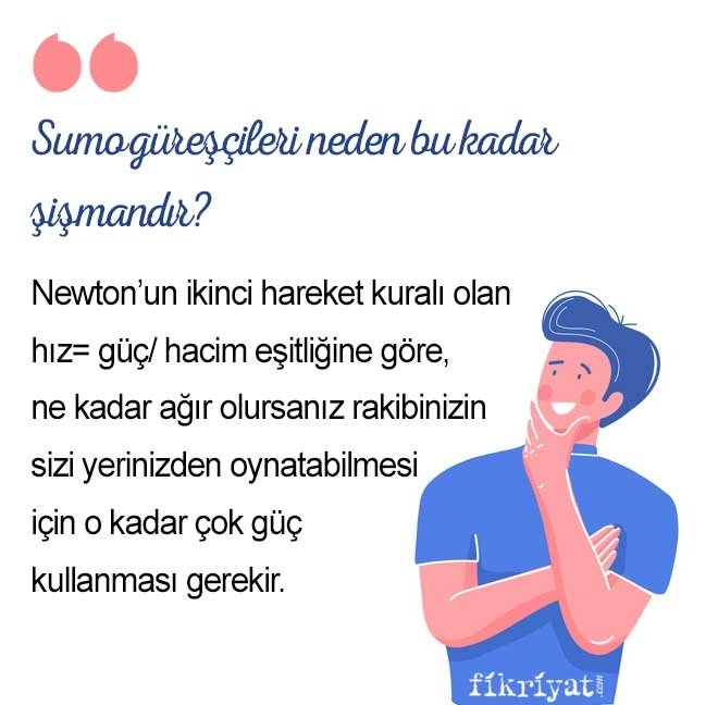 Sumo güreşçileri neden bu kadar şişmandır?