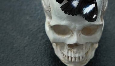 ESKİ TÜRKİYE’DEN FRAGMANLAR