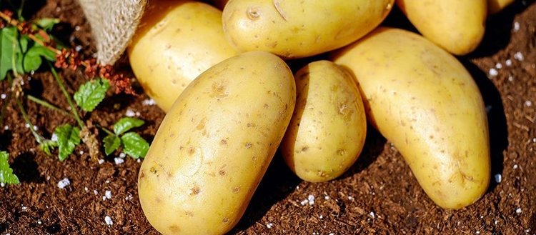 Patates ithalatında gümrük vergisi sıfırlandı