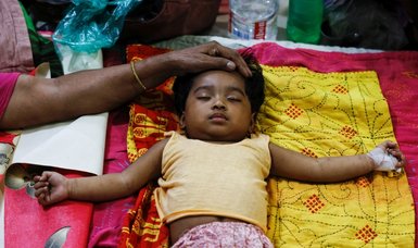 Bangladesh records more than 390 dengue fever deaths in September