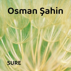 Şems suresi