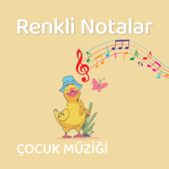 Ceviz Adam Şip Şap Şop