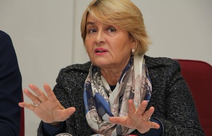 ahrefindexelginkanvakficlasstkktLnktargetblankElginkanVakfıandanBilecike250milyondolaryatırım