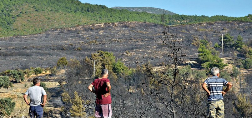 FOREST FIRE DESTROYS OVER 1,200 ACRES OF LAND IN TURKEYS IZMIR