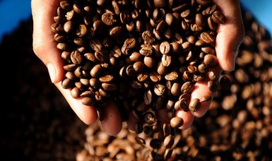 Brewing crisis: How climate change is reshaping coffee production