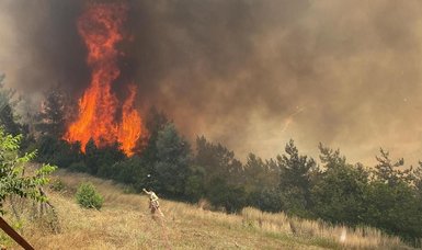 203 forest fires occur in the last 10 days in Türkiye