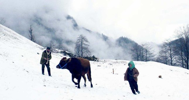 Kalandar Soğuğu