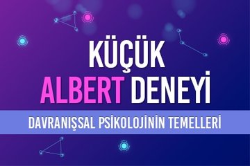 Küçük Albert Deneyi ve Davranışsal Psikolojinin Temelleri