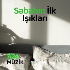 Bu mudur