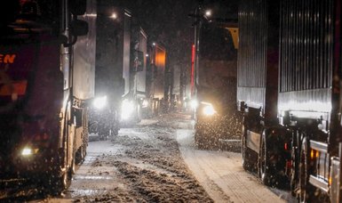 Snow halts traffic, lorries stuck in snowdrifts on German motorways