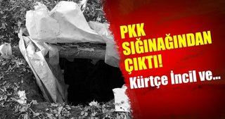 İşte Norveç vatandaşı PKK’lı terörist!