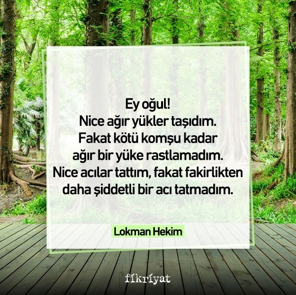 Nopok ayol ayolni sikadi