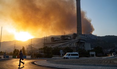Turkish powerplant's main units not damaged by wildfires