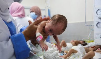 31 premature babies evacuated from Al-Shifa Hospital
