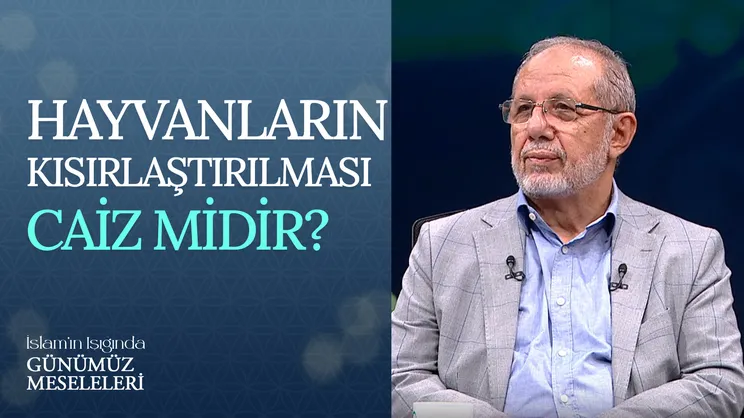 Hayvanların Kısırlaştırılması Caiz Midir?