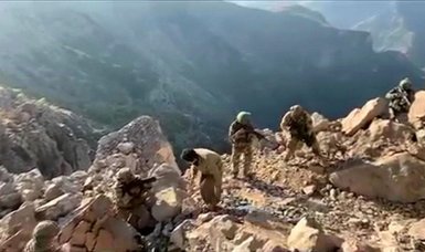 2 more PKK terrorists surrender to Turkish security forces