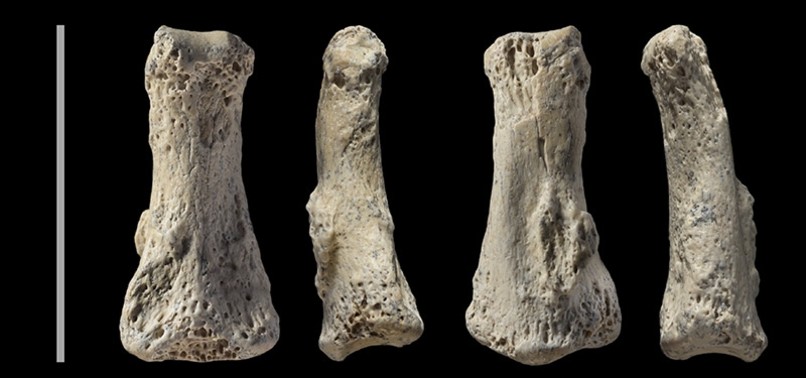 90,000-YEAR-OLD HUMAN FINGER FOSSIL IN SAUDI DESERT CHALLENGES MIGRATION THEORY