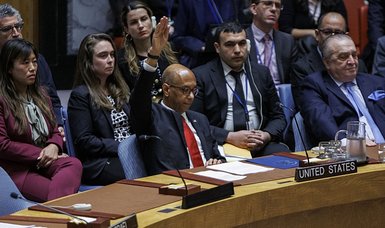 Ireland 'disappointed' after Security Council fails to pass draft resolution demanding Palestine's full membership at UN