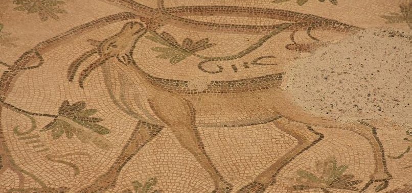 ANCIENT MOSAIC FOUND IN SE TURKEY OPEN FOR EXHIBITION