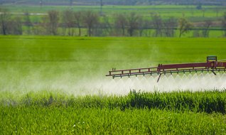 Devletten kiralık araziler