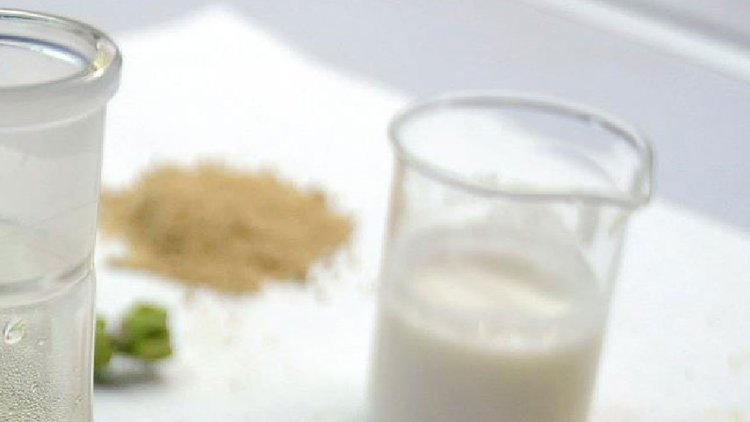 ’DNA hasarına karşı kefir için’