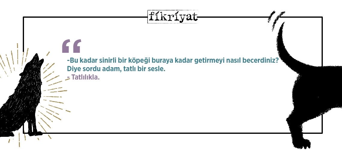 Mihail Bulgakov’un yasaklı kitabı köpek kalbi’nden 30 alıntı