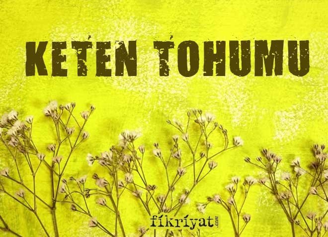 KETEN TOHUMU FAYDALARI