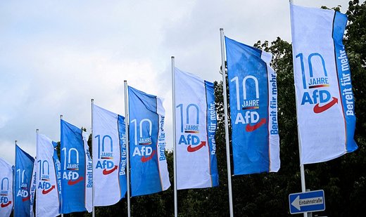 French far-right party splits with Germany’s AfD after SS comment