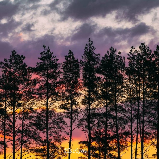 Kalp huzurunu sağlamak