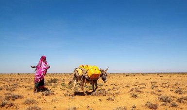 Somalia seeks global help to battle severe drought