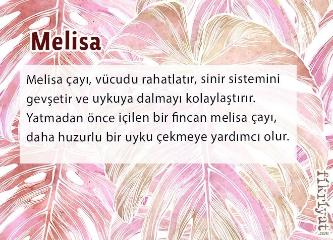 Melisa
