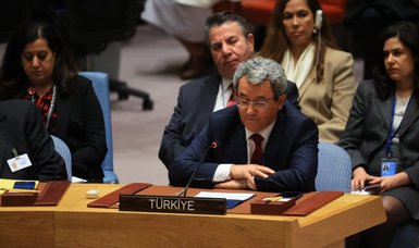 US veto of Palestine's request for full UN membership 'shameful': Türkiye