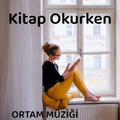 Çizgi roman