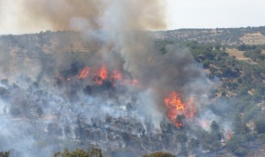 Türkiye continues to battle forest fires in its western, southern provinces