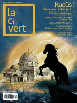 Lacivert SAYI 36