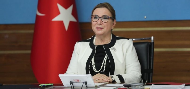 TURKEY, UNITED KINGDOM REACH TARIFF-FREE AGREEMENT AS PLANNED - MINISTER