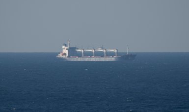 First Ukraine grain ship reaches Turkish coast