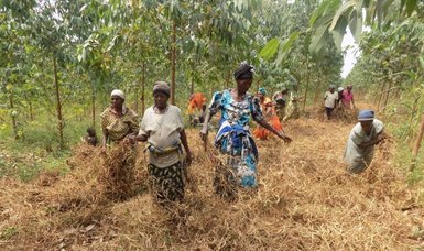 Türkiye’s state aid agency donates irrigation equipment to Uganda farmers