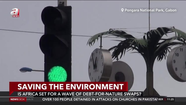 Is Africa set for a wave of debt-for-nature swaps?