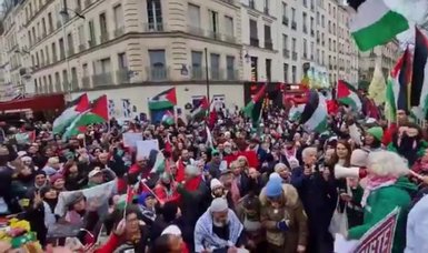 Pro-Palestine rally held in Paris during holiday season