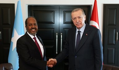 Turkish, Somali presidents discuss Israeli ‘massacres’ in Palestine, humanitarian aid