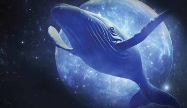 MARİFET İLTİFATA TABIDI R