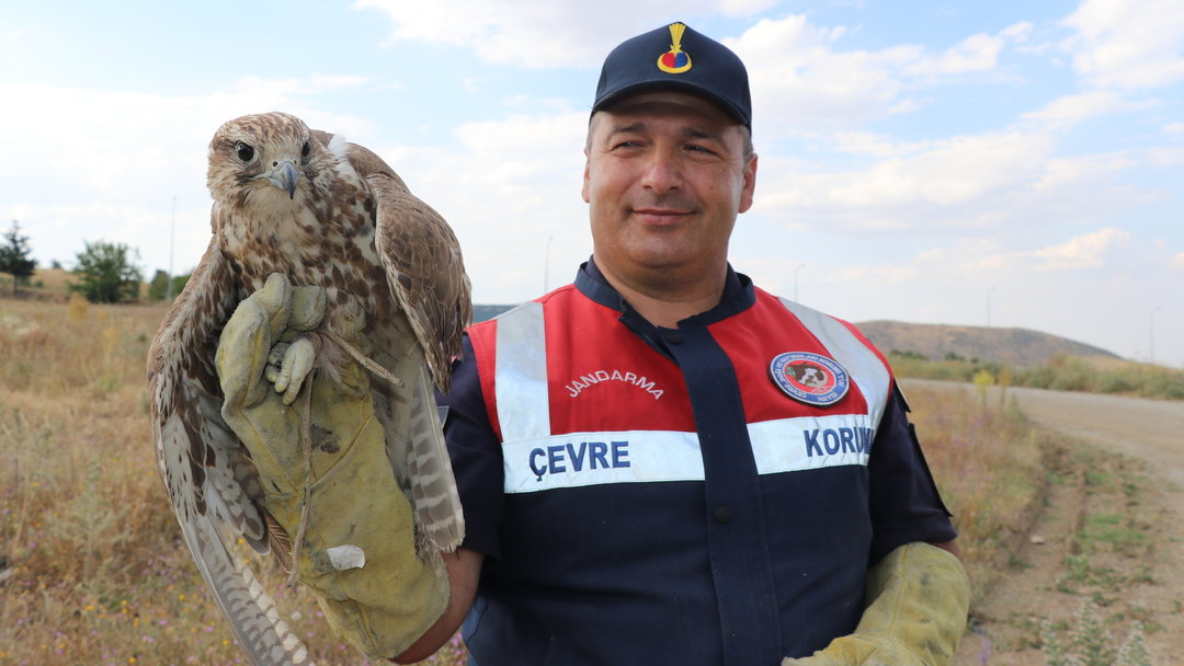 ULU DOĞAN KORUMA ALTINA ALINDI